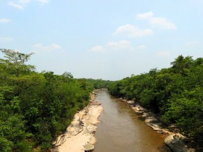 Imagem da notícia MP investiga uso de recursos do Fundo Municipal de Meio Ambiente em Coxim